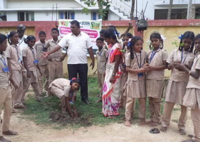 Tree Plantation