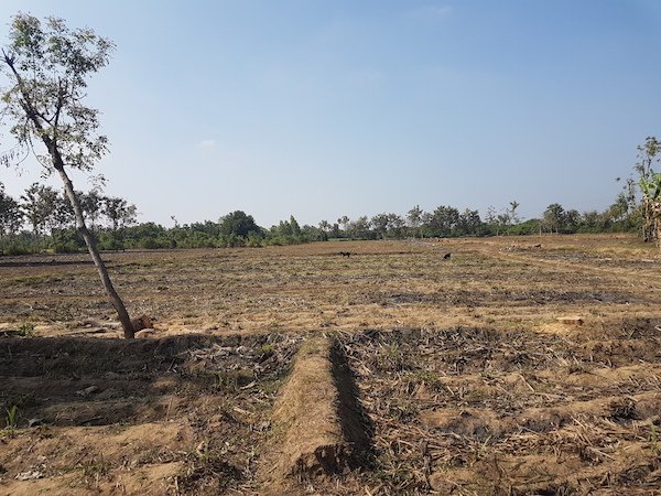 Agriculture1
